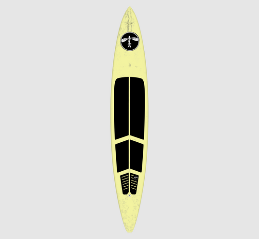 Flying Fish Custom Downwind Board