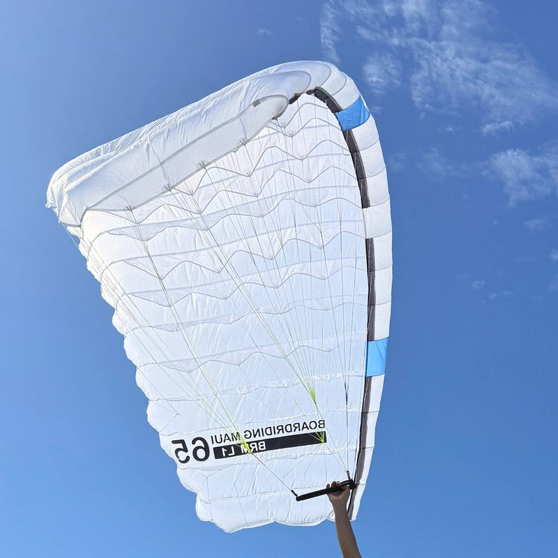 Chargez l'image dans la visionneuse de la galerie, BRM L1 Single Skin Parawing
