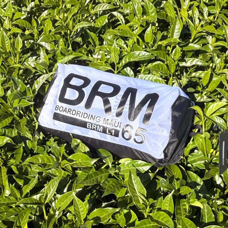 Chargez l'image dans la visionneuse de la galerie, BRM L1 Single Skin Parawing
