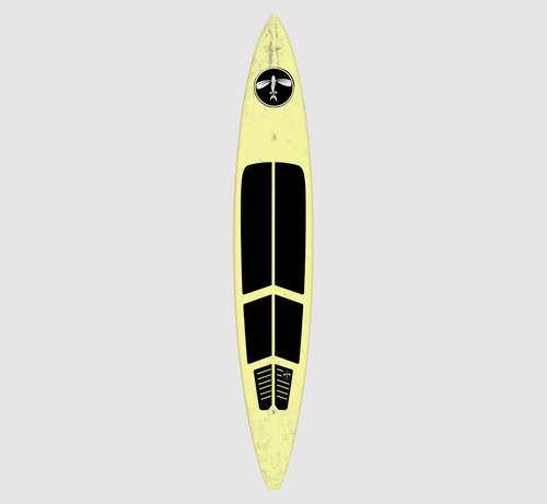 Flying Fish Custom Downwind Board